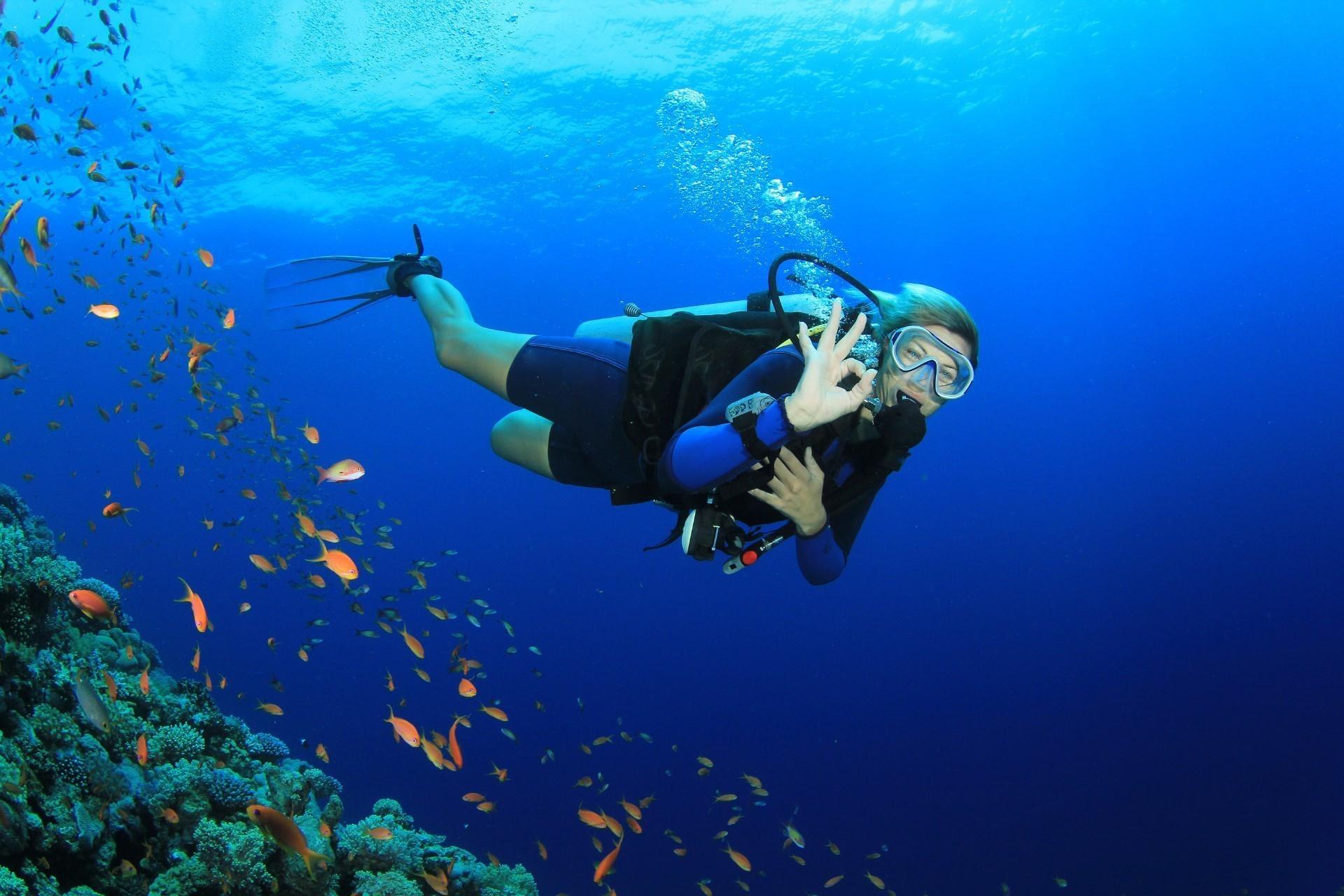 Alkyna Lifestyle Beach Resort Ex La Grotta Verde (Adults Only) Agios Gordios  Ngoại thất bức ảnh Scuba diving